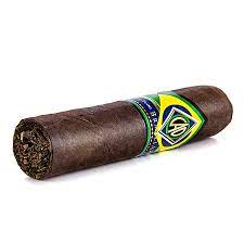 CAO brazilia corcovado