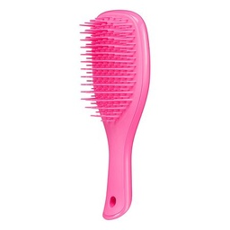 Tangle Teezer Wet Detangler Mini